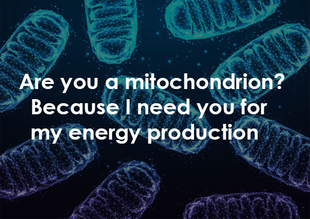 Best Mitochondria Pick Up Lines