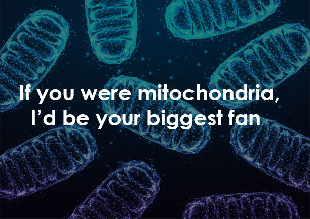 Cute Mitochondria Pick Up Lines