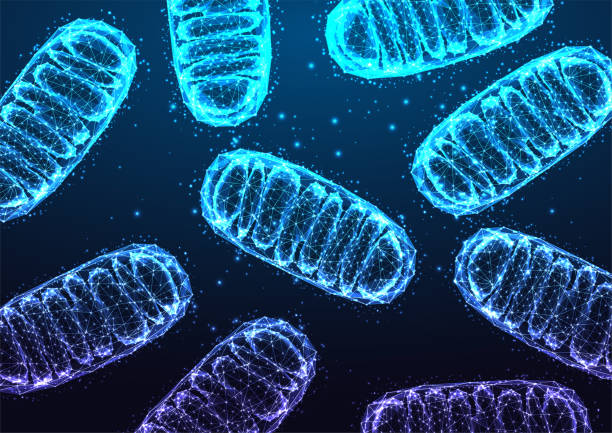 Mitochondria Pick Up Lines